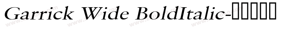 Garrick Wide BoldItalic字体转换